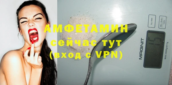 крисы Краснослободск
