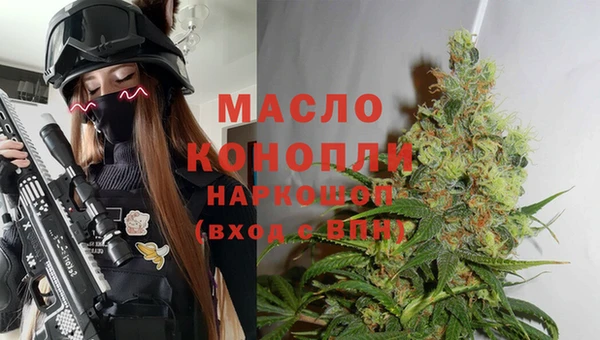гидропоника Горняк