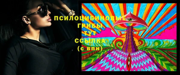 кокс Белокуриха