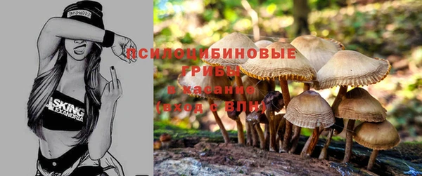 кристаллы Белоозёрский